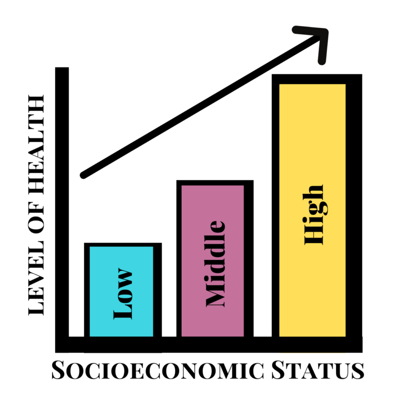 the-impact-of-socioeconomic-status-on-health